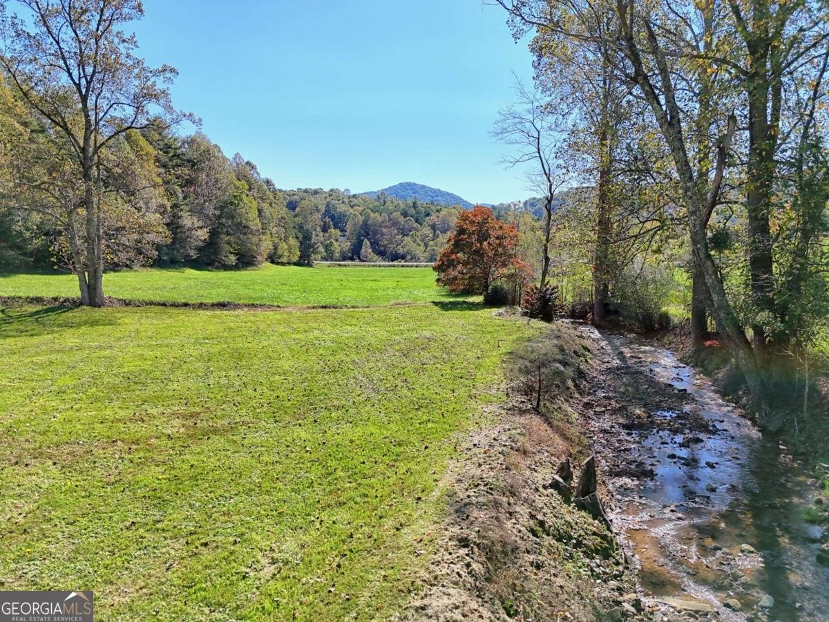 271 Burnt Ridge Road Blairsville - 5