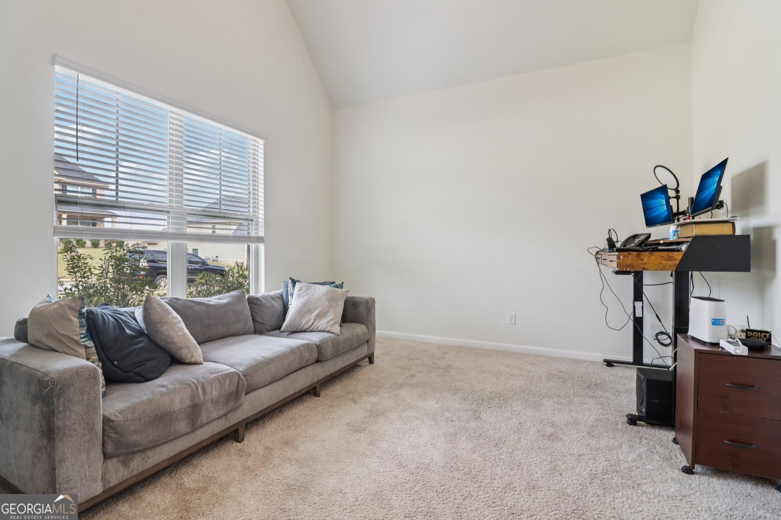 168 Osier Drive Mcdonough - 12