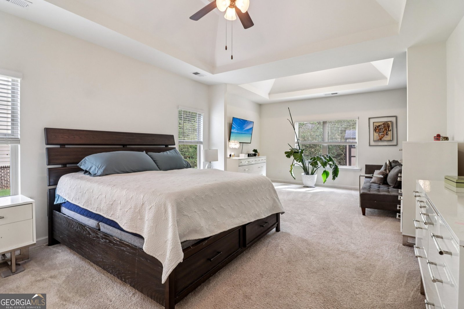 168 Osier Drive Mcdonough - 13
