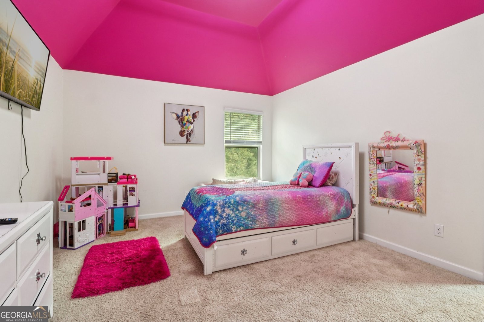 168 Osier Drive Mcdonough - 19