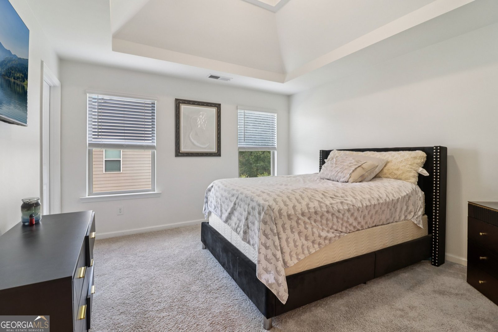 168 Osier Drive Mcdonough - 21