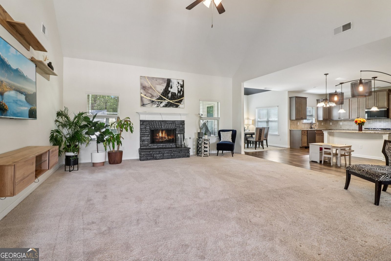 168 Osier Drive Mcdonough - 4