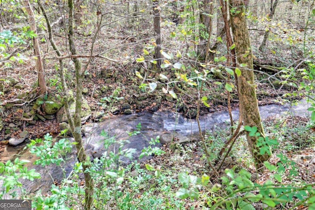 1064 Muskrat Creek Road Hayesville - 1