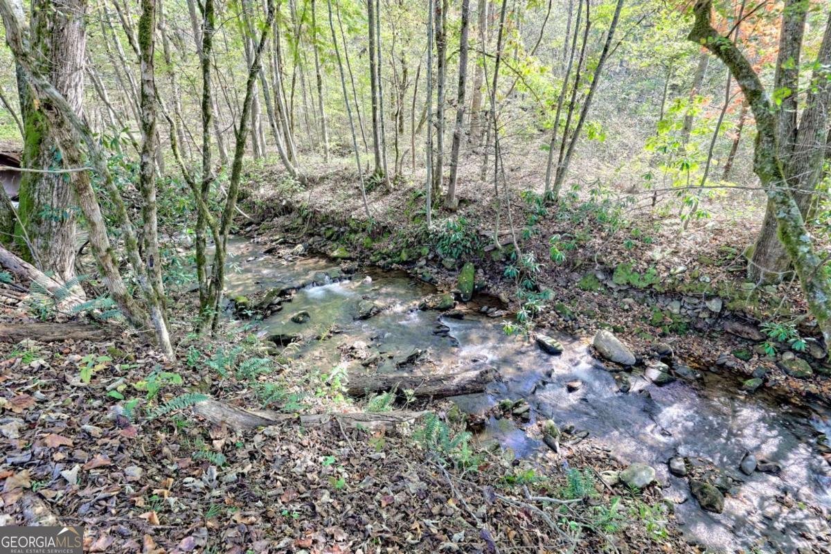 1064 Muskrat Creek Road Hayesville - 11