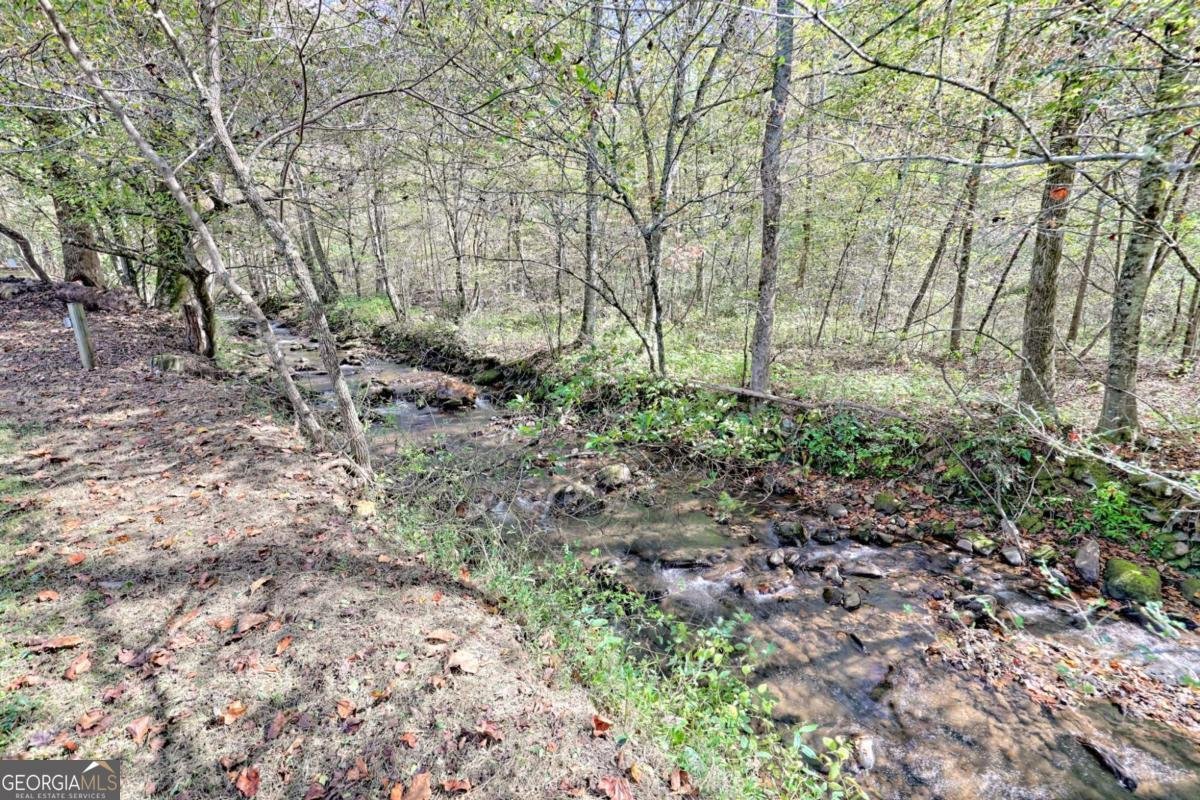 1064 Muskrat Creek Road Hayesville - 29