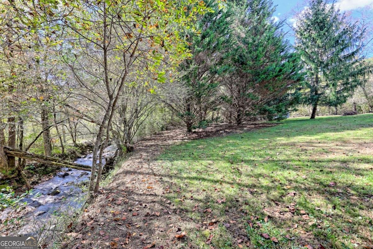 1064 Muskrat Creek Road Hayesville - 30