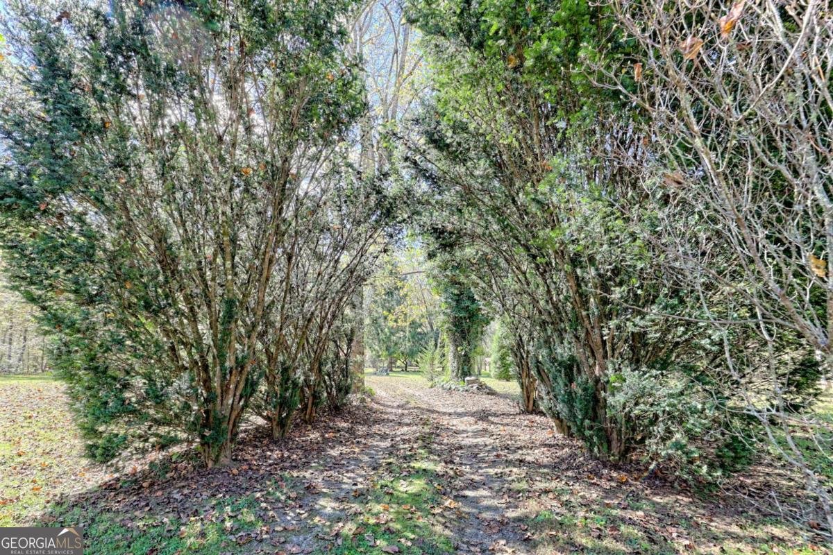 1064 Muskrat Creek Road Hayesville - 44