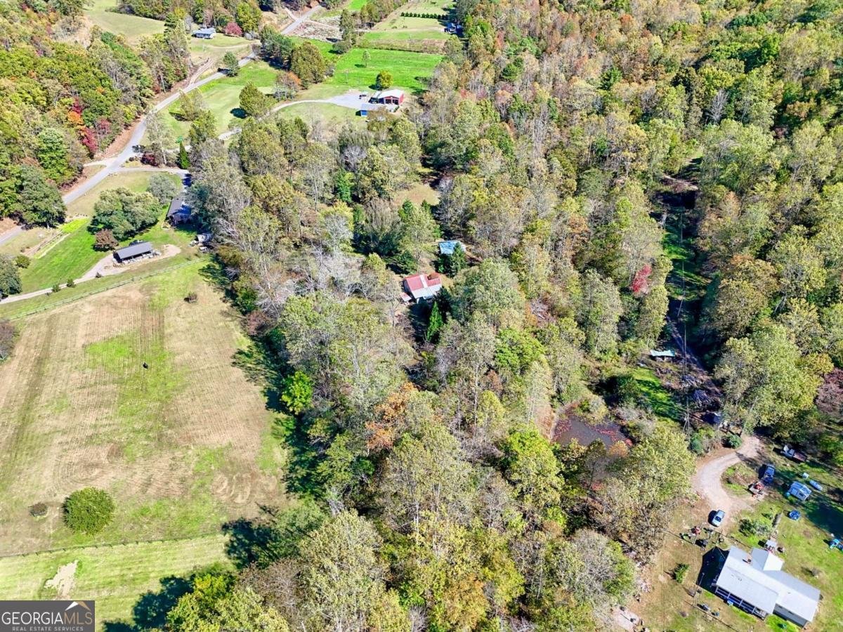 1064 Muskrat Creek Road Hayesville - 52