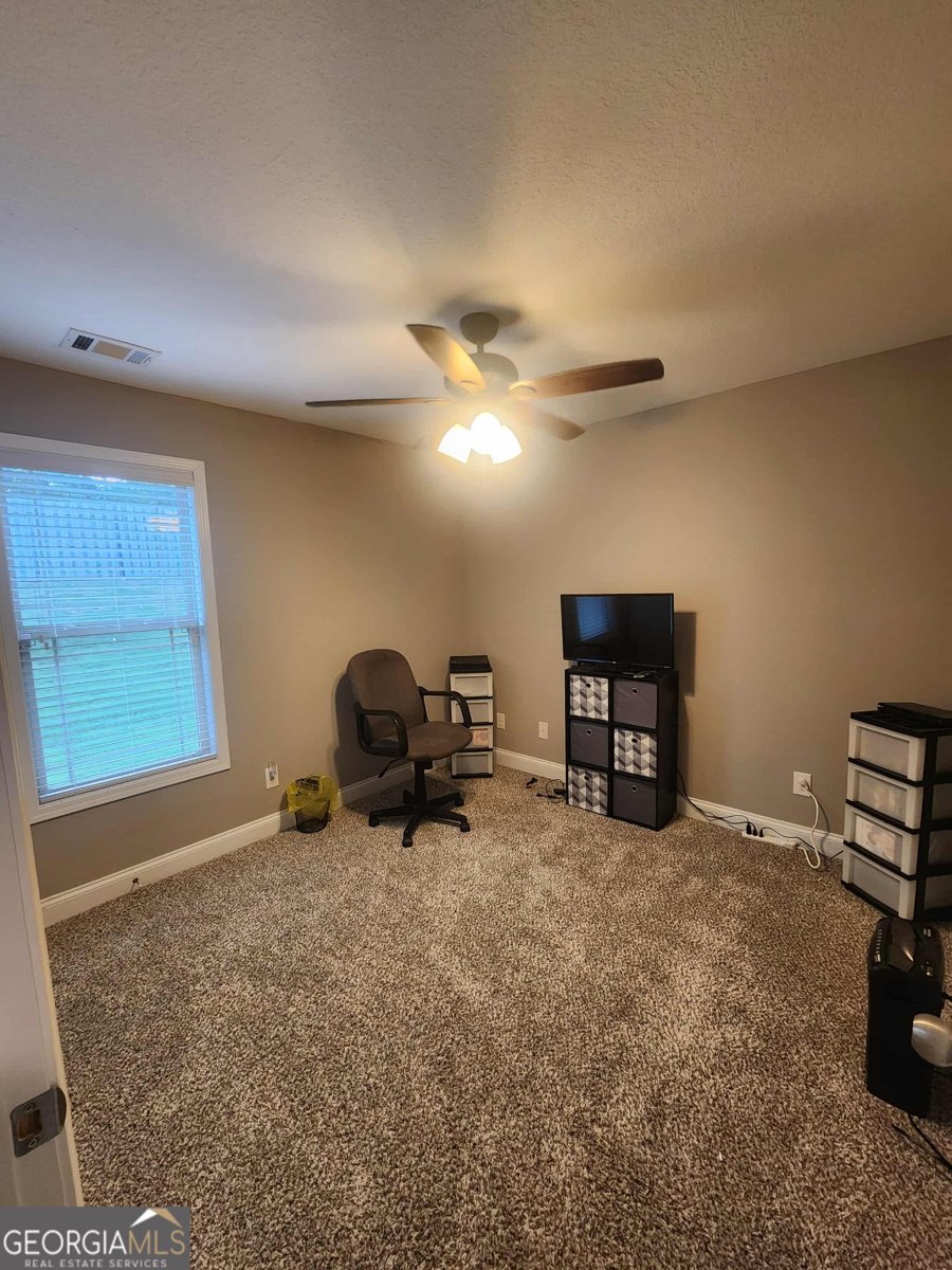 117 Hawks Ridge Trace Byron - 15