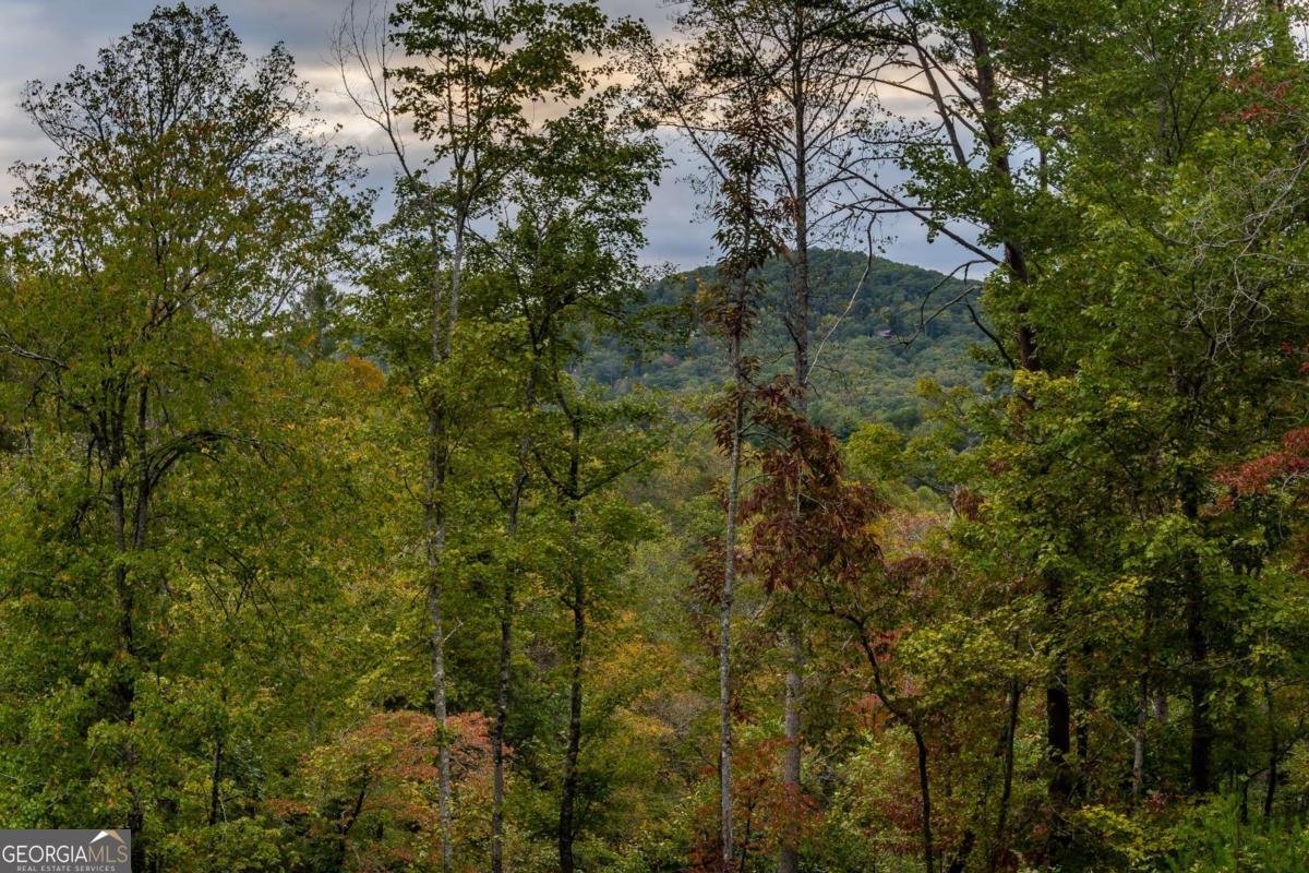 48 Green Ridge Road Blue Ridge - 54