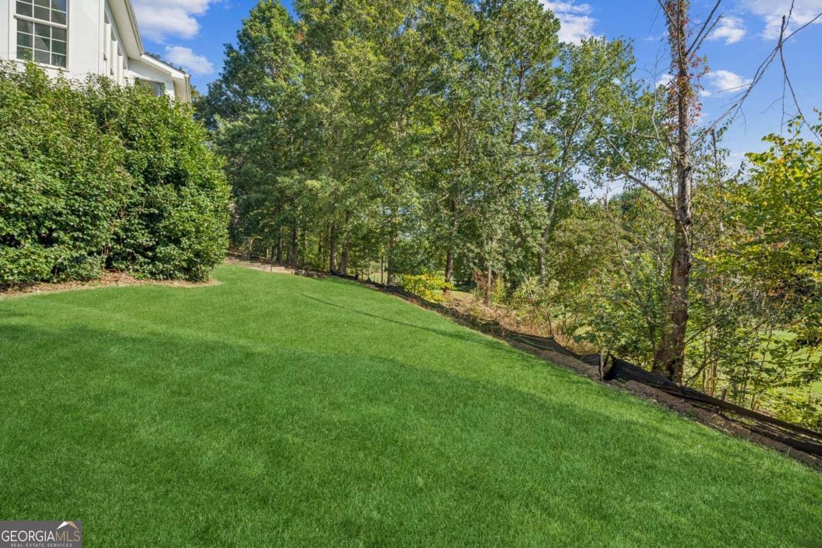 181 Granny Smith Circle Clarkesville - 64