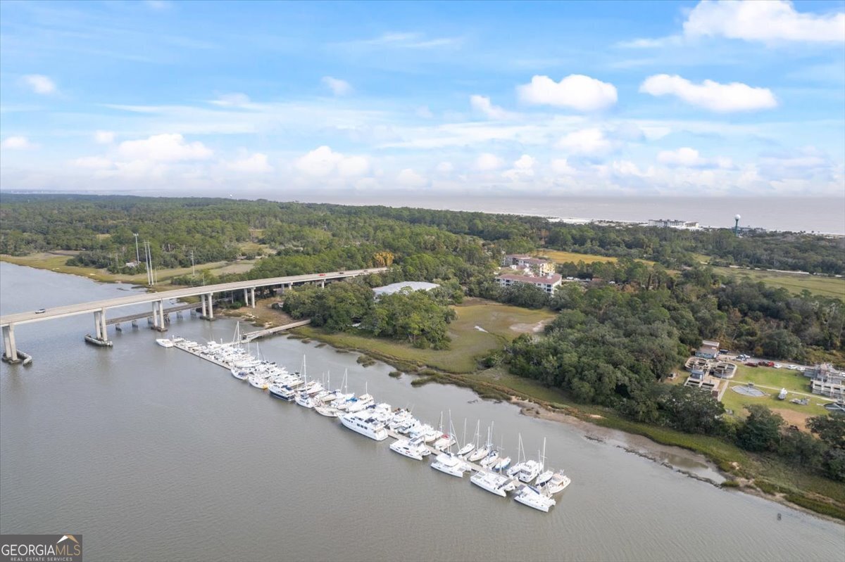 13 Harbor Road Jekyll Island - 42