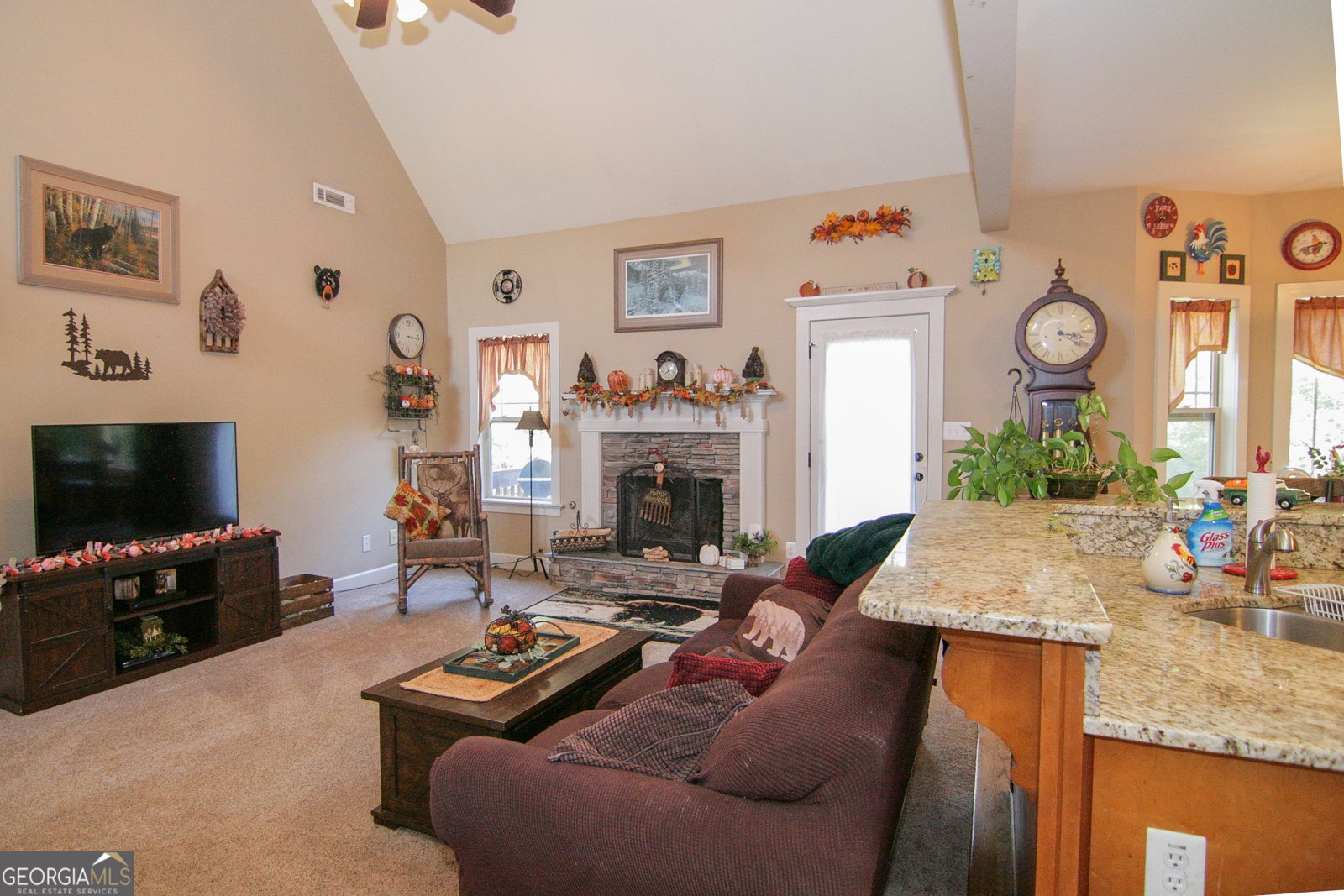 25 Magnolia Place Court Senoia - 10
