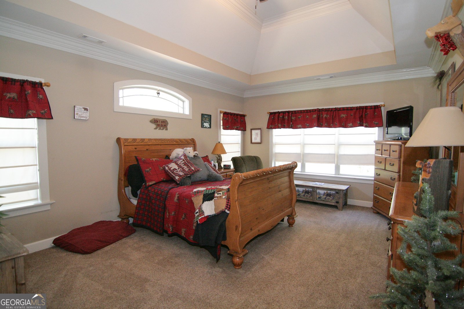 25 Magnolia Place Court Senoia - 25