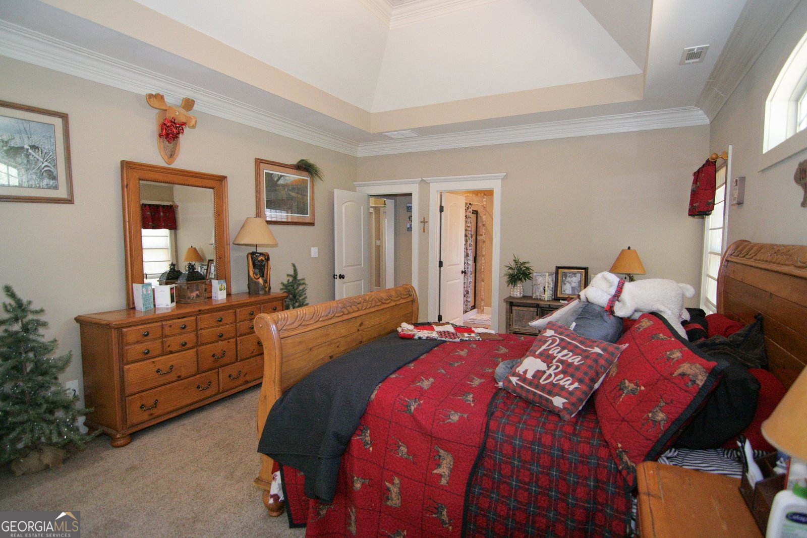 25 Magnolia Place Court Senoia - 28