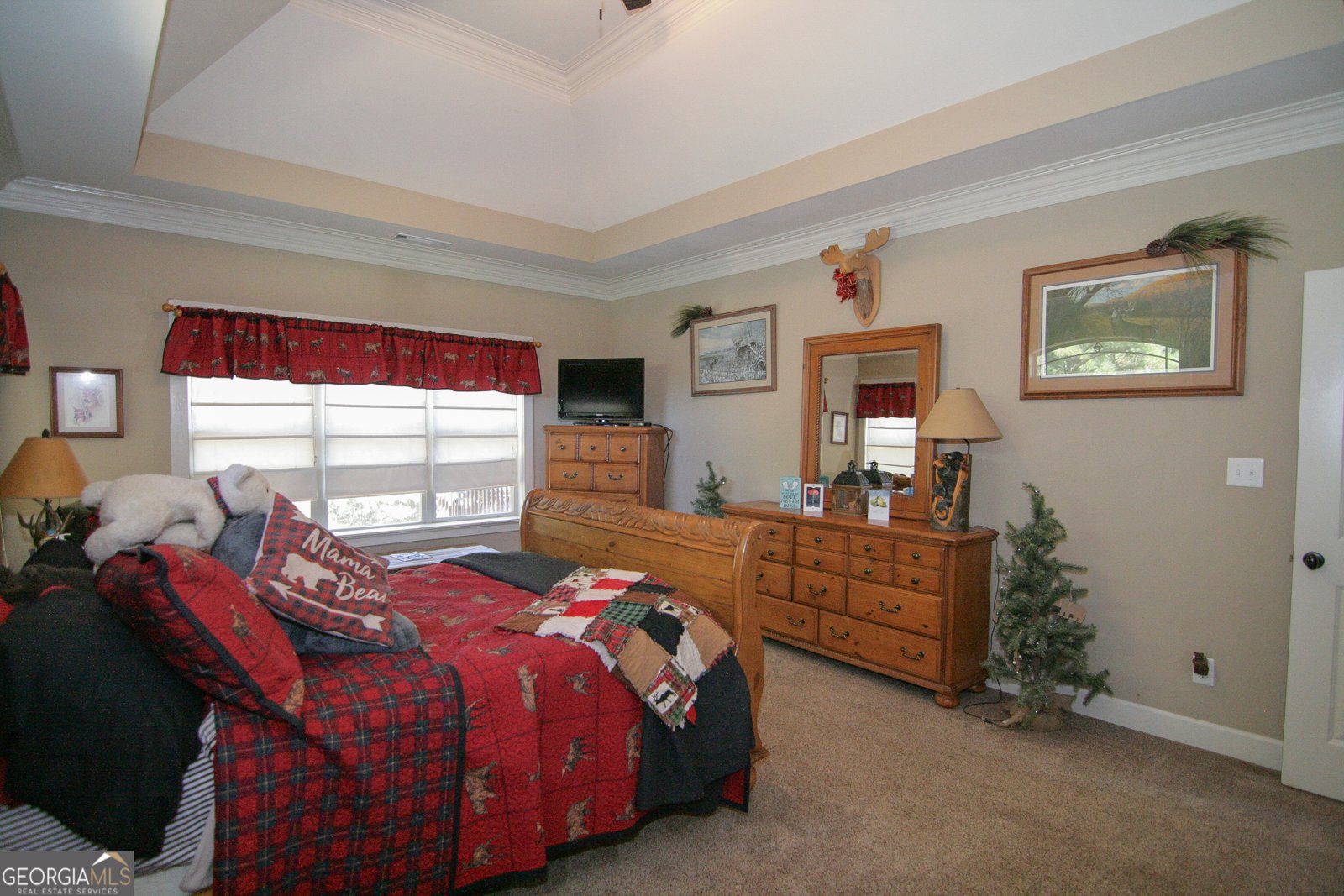 25 Magnolia Place Court Senoia - 29