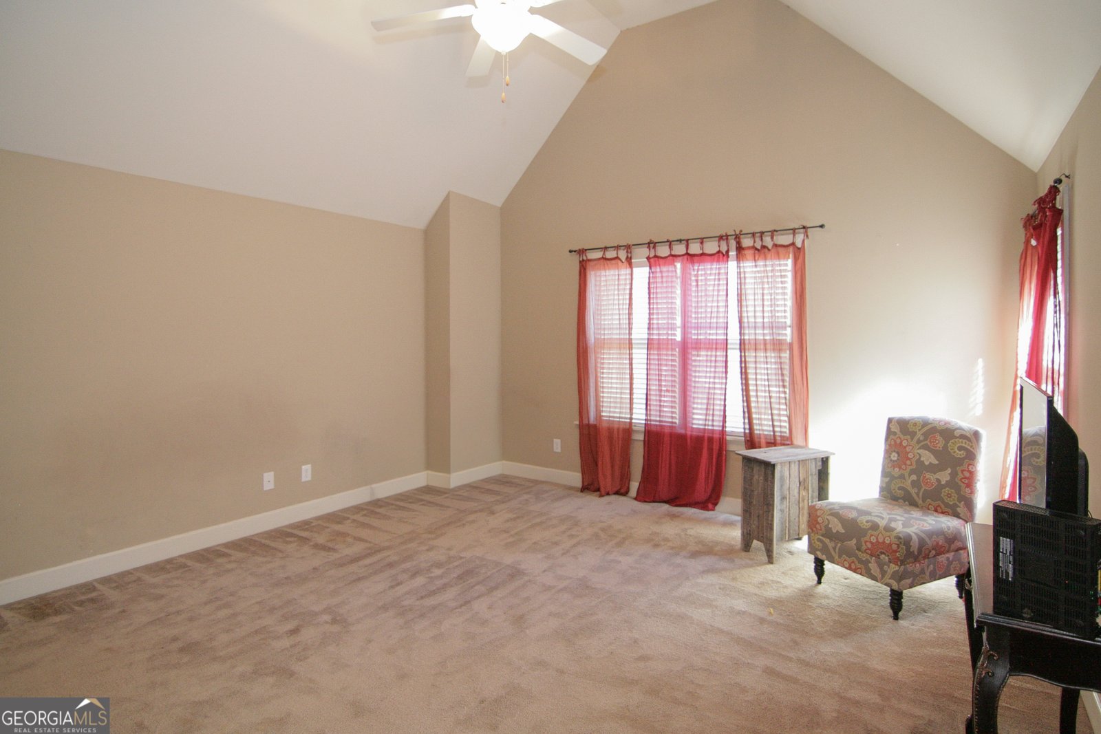 25 Magnolia Place Court Senoia - 44