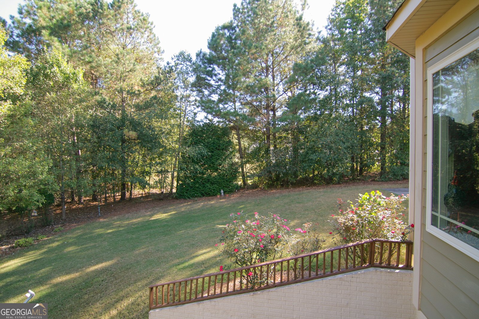 25 Magnolia Place Court Senoia - 82