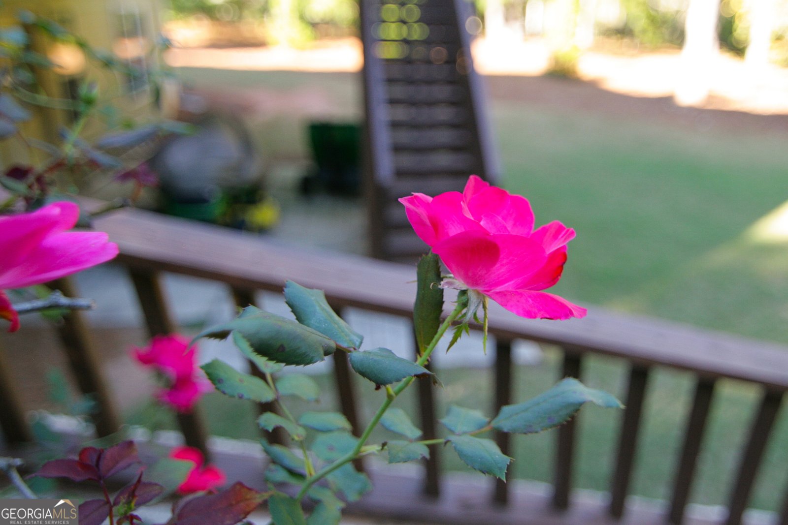 25 Magnolia Place Court Senoia - 90