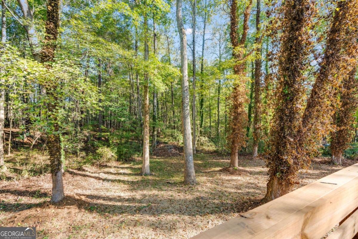 6883 Lakeshore Drive Douglasville - 8