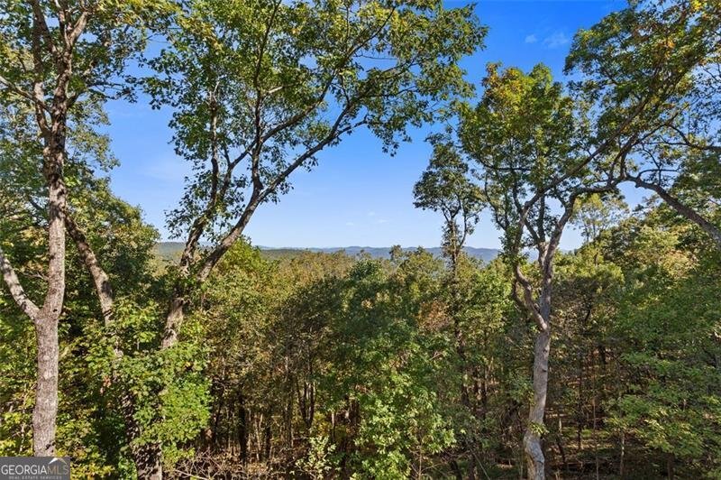 1319 Deer Run Jasper - 49