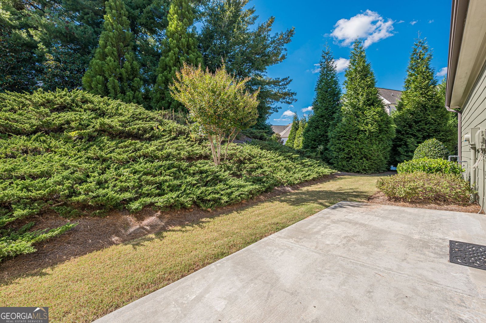 1040 Peyton View Court Alpharetta - 47