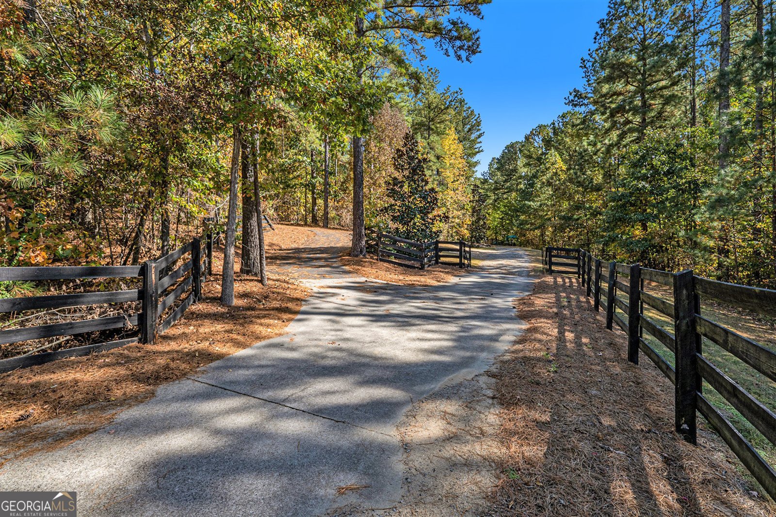 80 Hummingbird Trail Dallas - 36