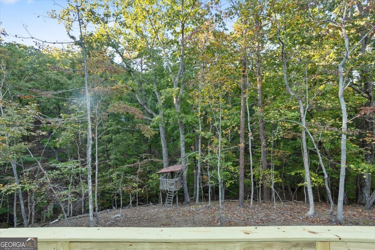 114 Fort Wayne Drive Waleska - 40