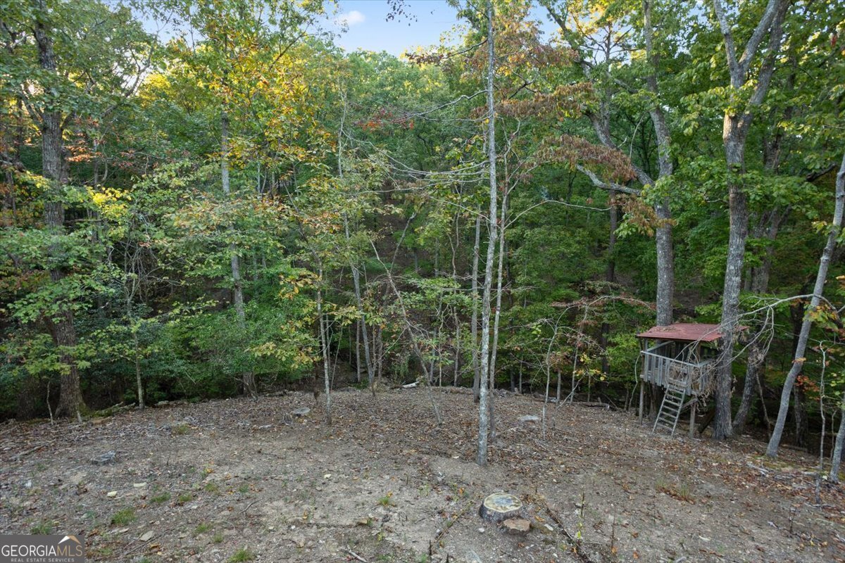 114 Fort Wayne Drive Waleska - 41