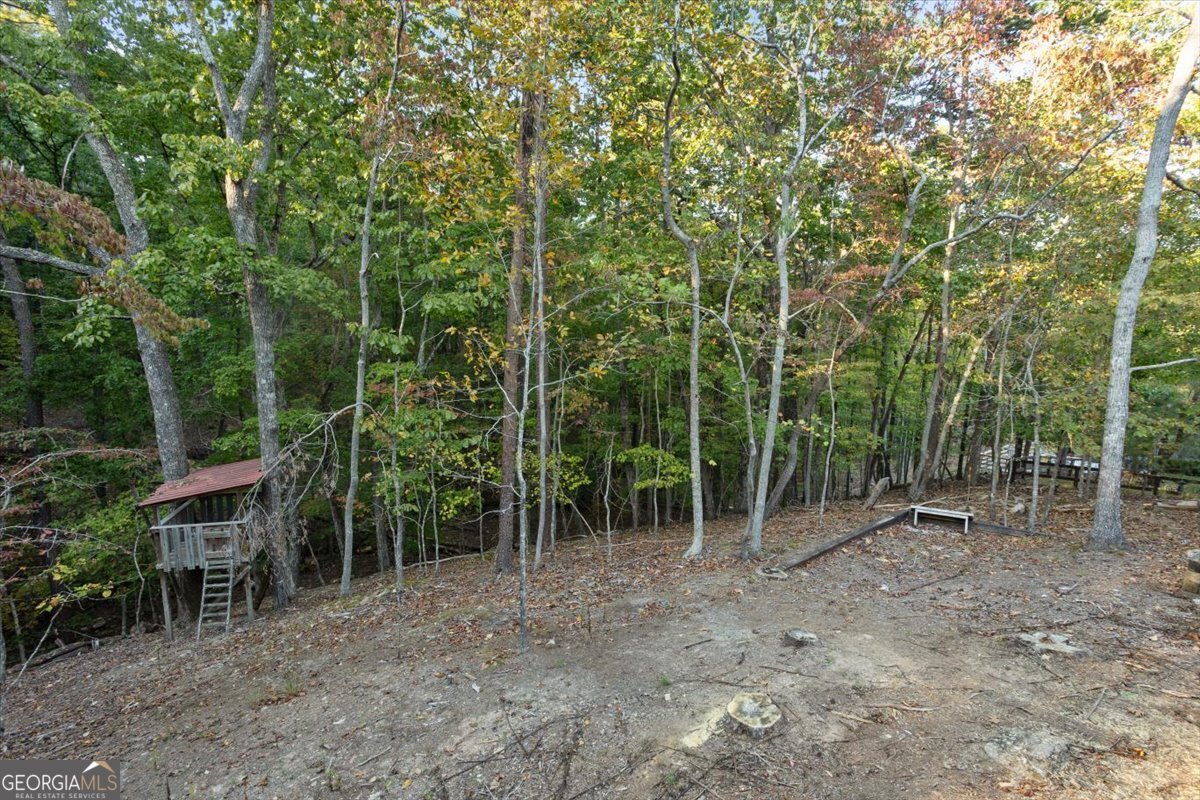 114 Fort Wayne Drive Waleska - 42