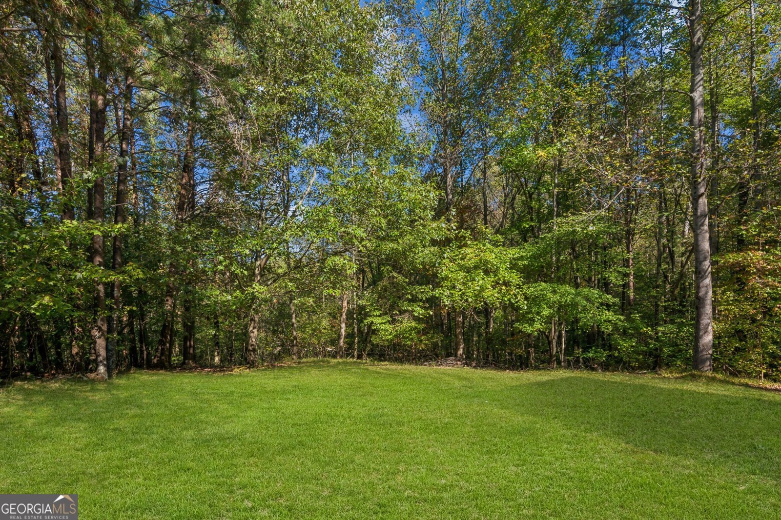 184 Amber Court Jasper - 5