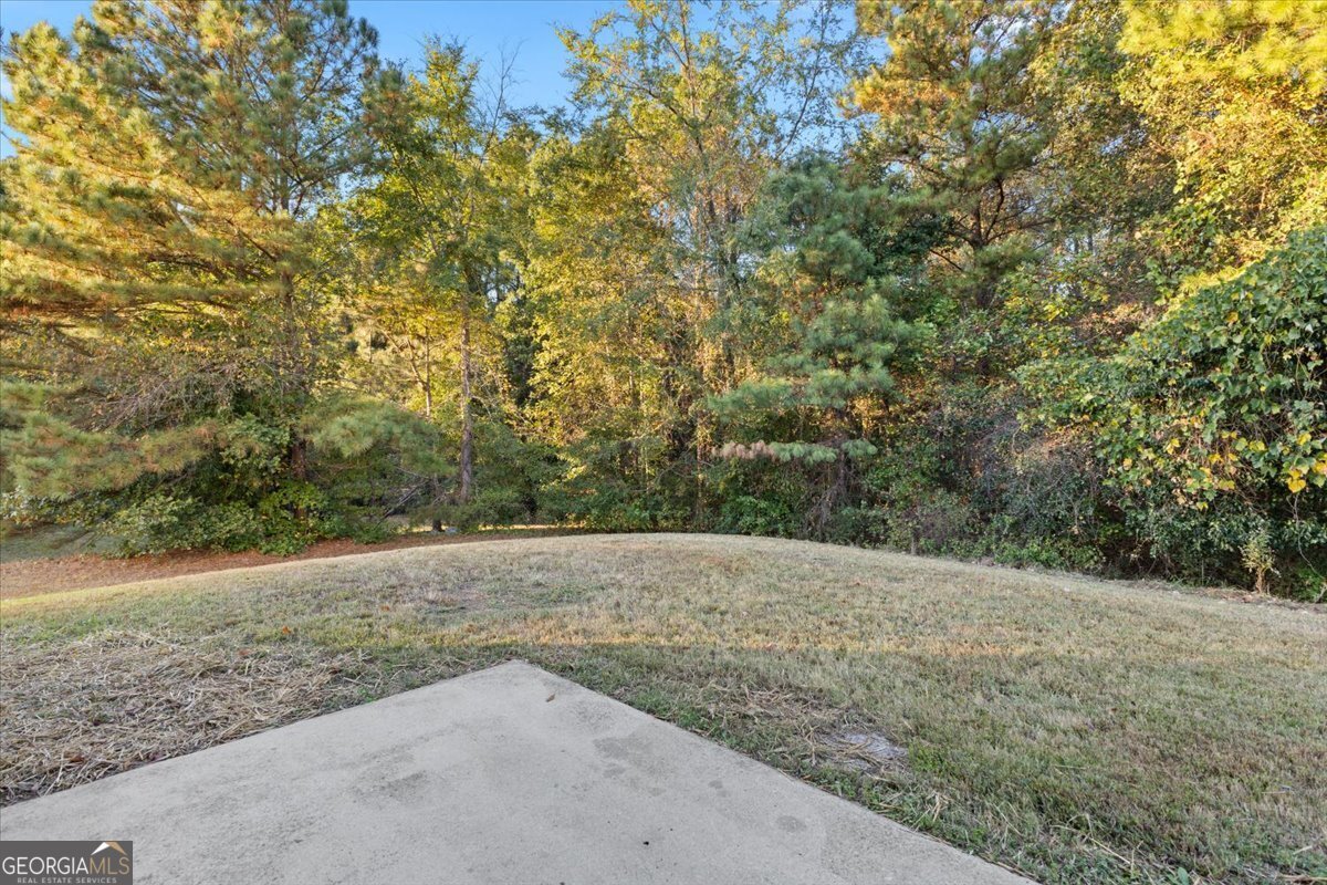 1012 Grace Marie Lane Ellenwood - 22