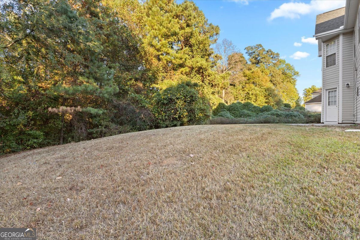 1012 Grace Marie Lane Ellenwood - 27