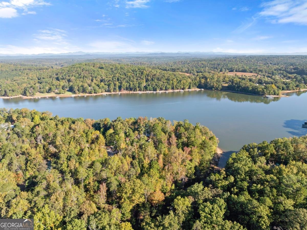 773 Shorewood Circle Toccoa - 40