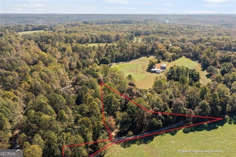 610 Old Henry Grady Road Dawsonville - 3