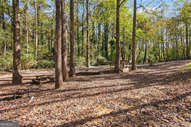 610 Old Henry Grady Road Dawsonville - 38