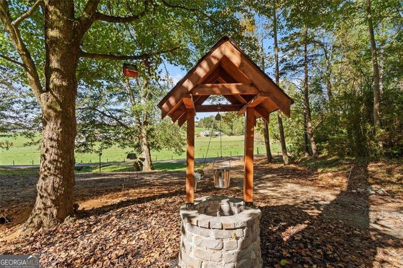 610 Old Henry Grady Road Dawsonville - 4