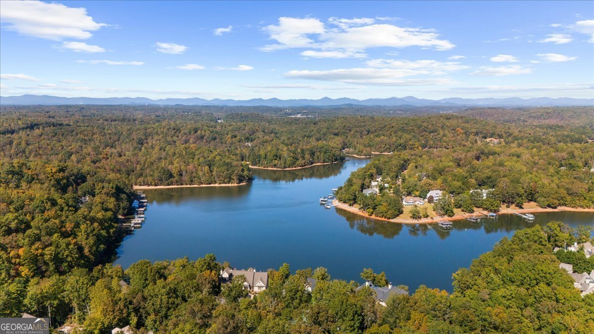 25 River Sound Circle Dawsonville - 58