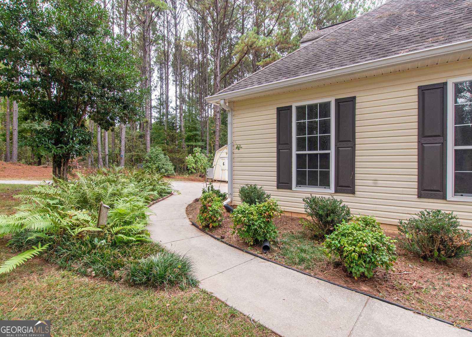 200 Tenney Road Senoia - 10