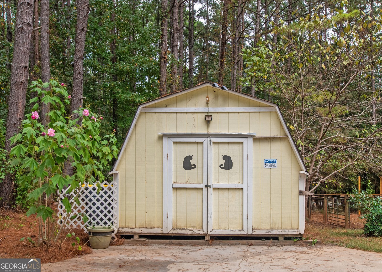 200 Tenney Road Senoia - 12