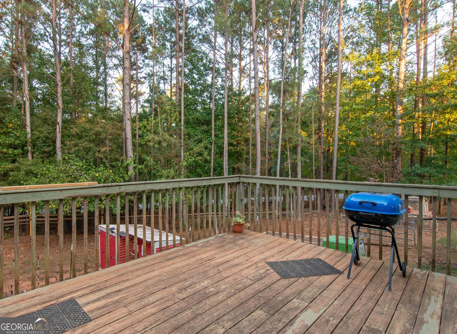 200 Tenney Road Senoia - 6