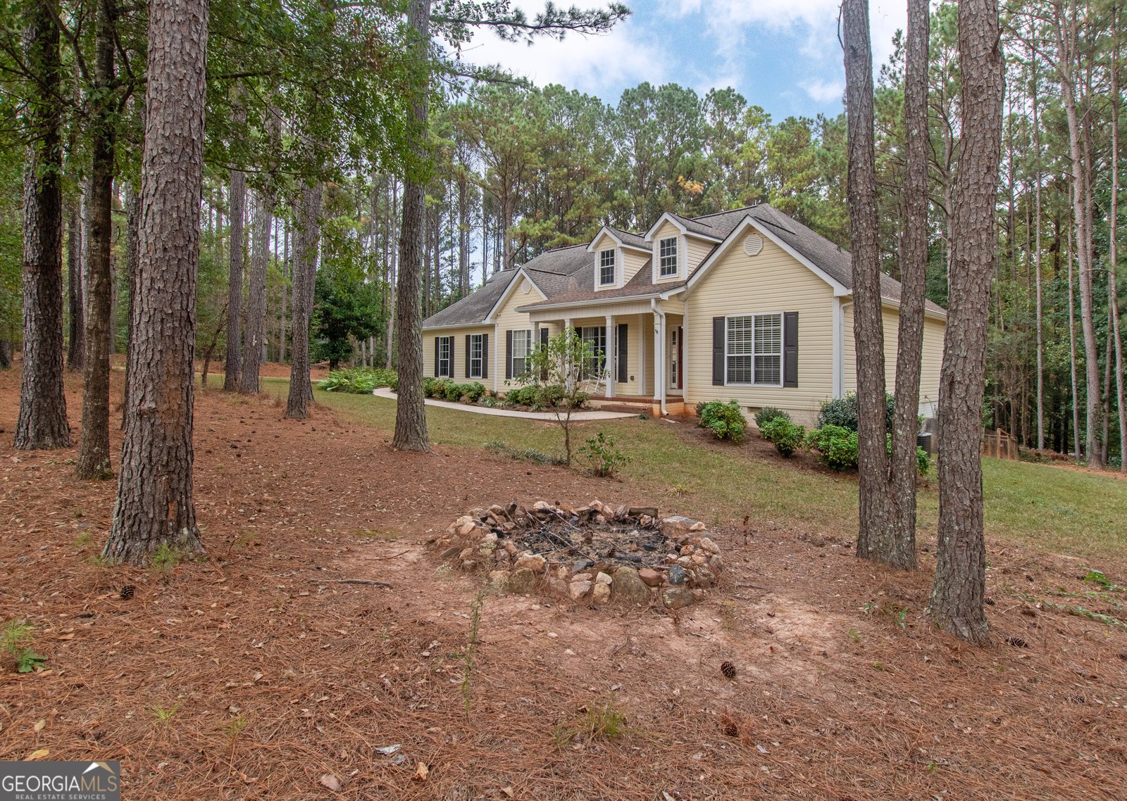 200 Tenney Road Senoia - 8