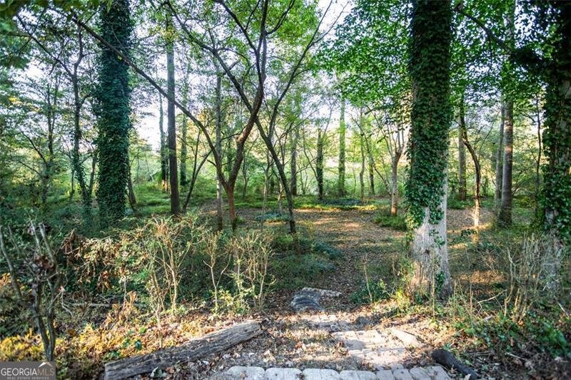 2737 Westminister Lane Conyers - 46
