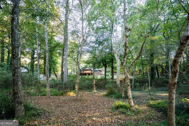 2737 Westminister Lane Conyers - 48