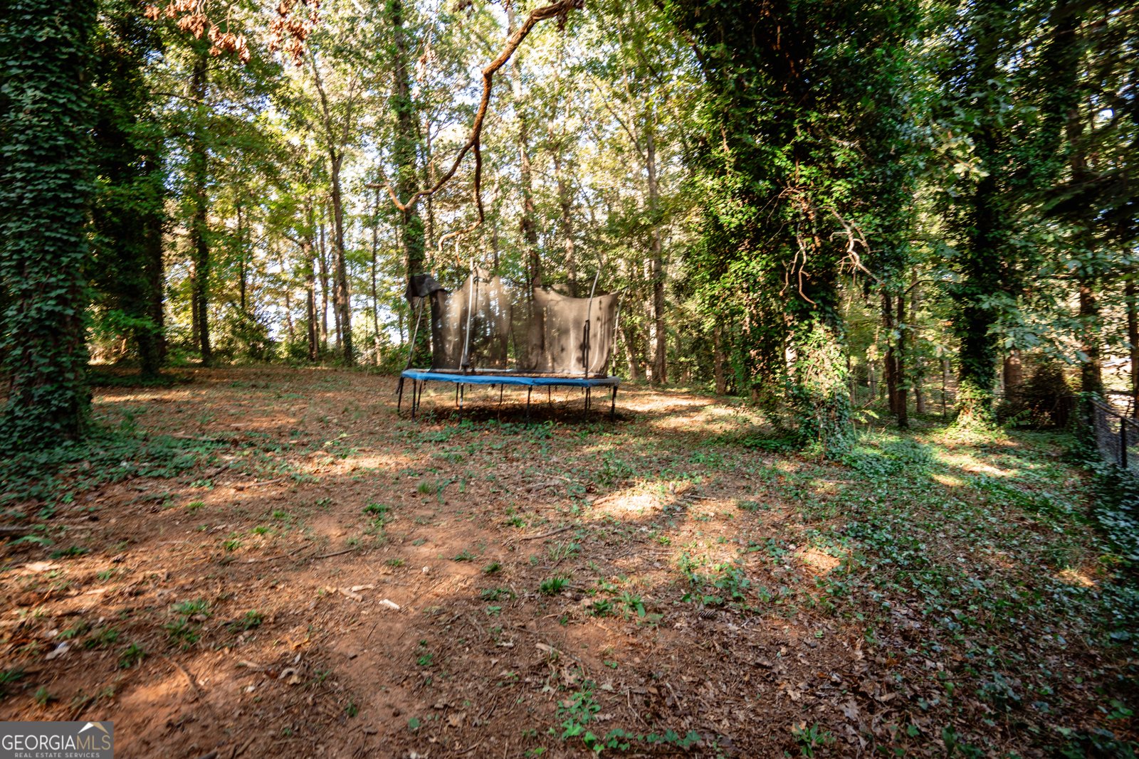 922 Springer Drive Griffin - 28