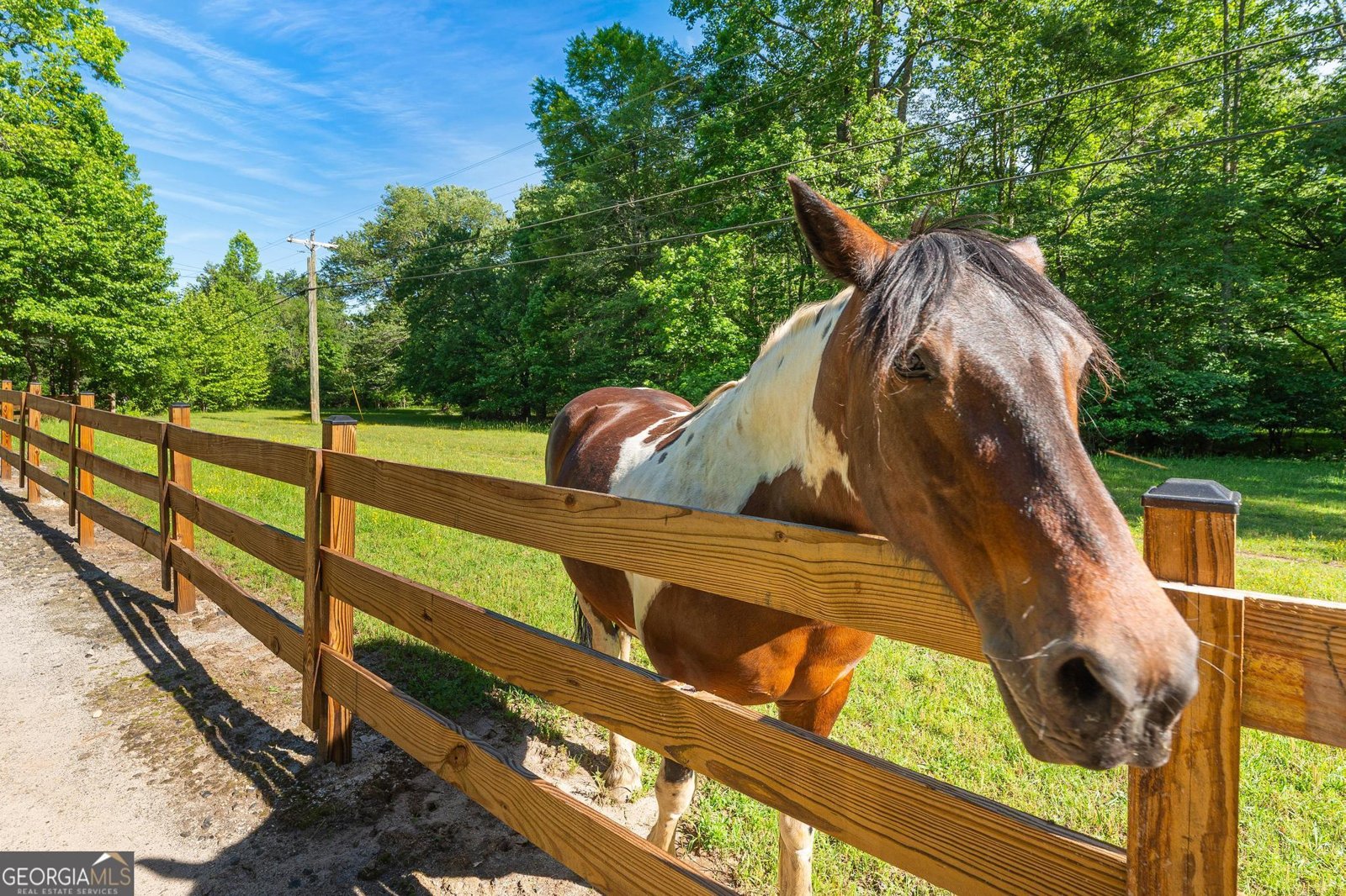 864 Woodbrier Sautee Nacoochee - 22