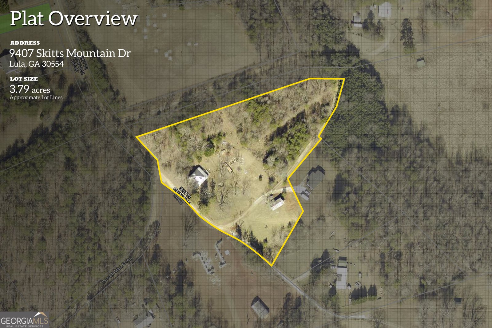 9403 Skitts Mountain Drive Lula - 6