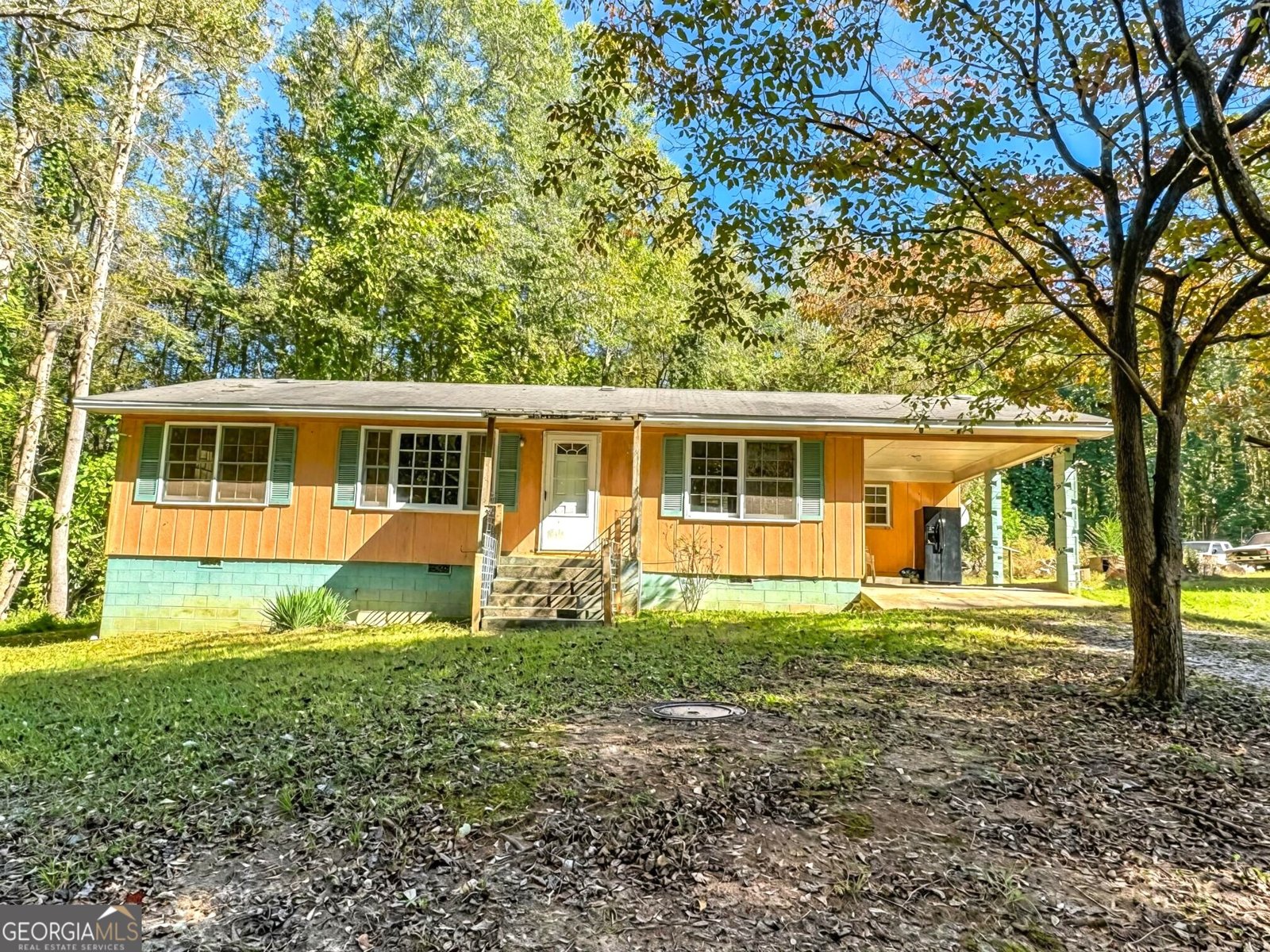 710 New Town Road Lavonia - 1