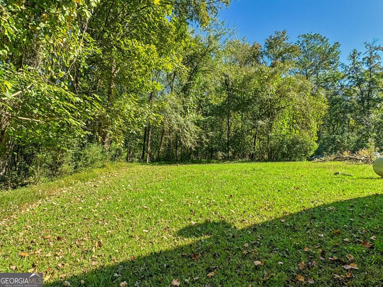 710 New Town Road Lavonia - 4