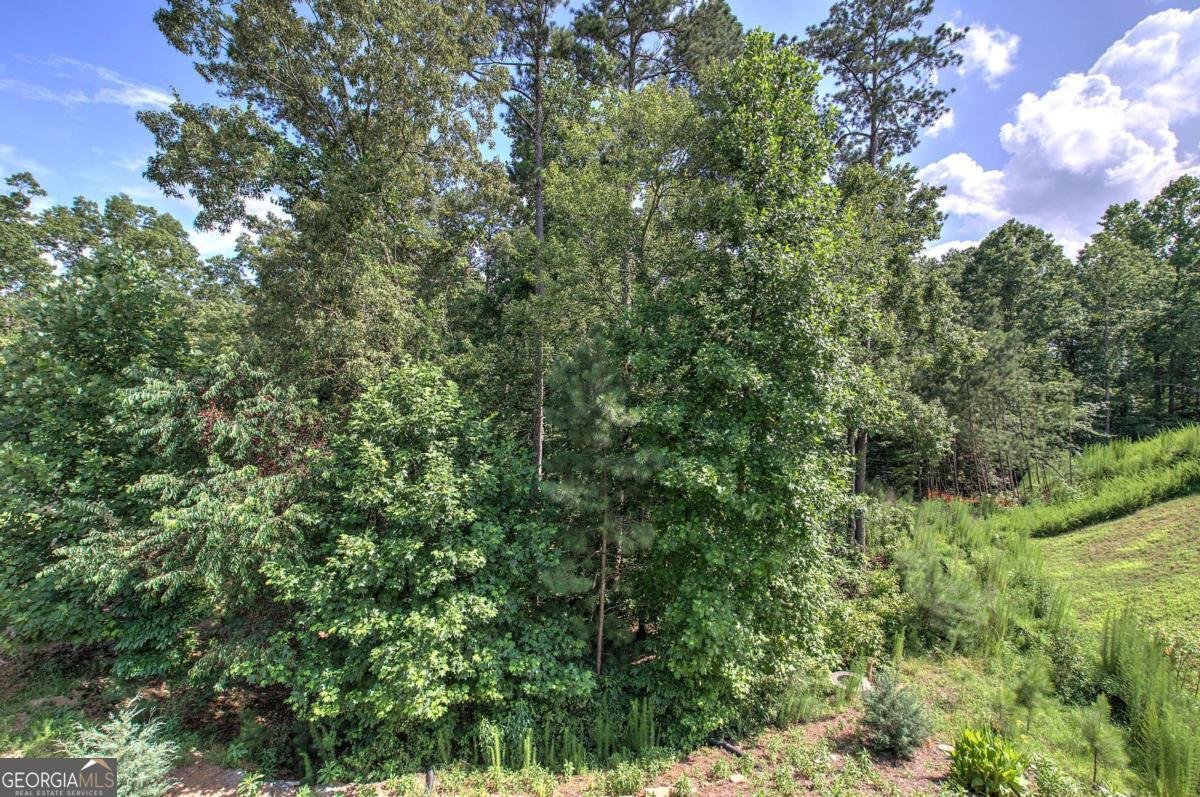 17 Ivy Stone Court Cartersville - 54